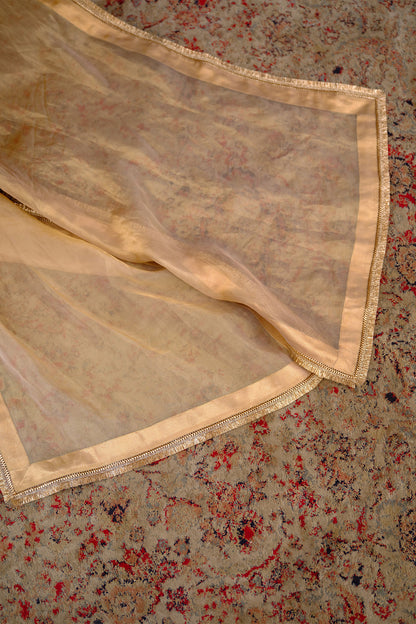 Ziba Kurta Set