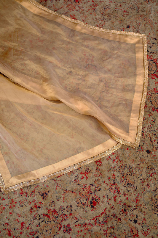 Ziba Kurta Set