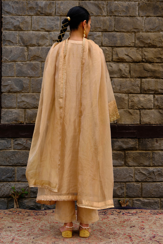 Ziba Kurta Set