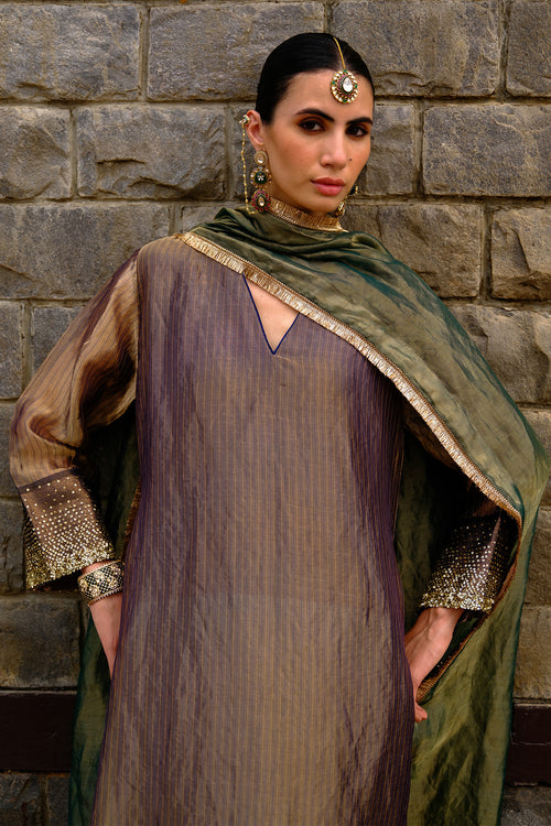 Ziba Kurta Set