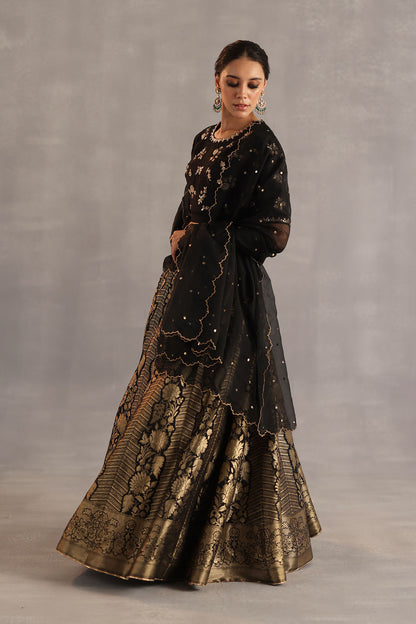 Malhar Lehenga