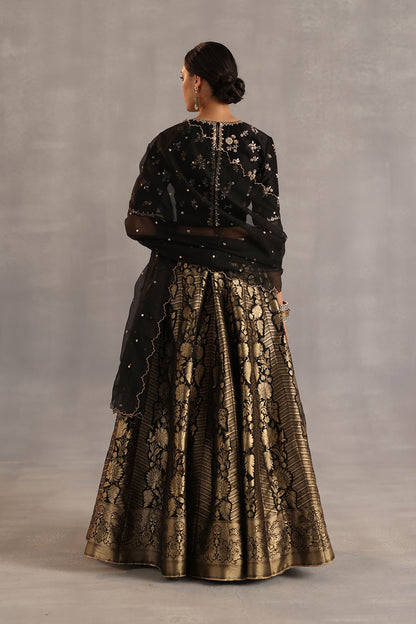 Malhar Lehenga